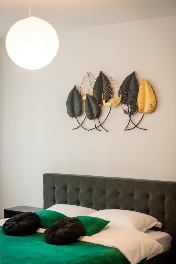 Coresi Vibe Studio Braszów Zewnętrze zdjęcie