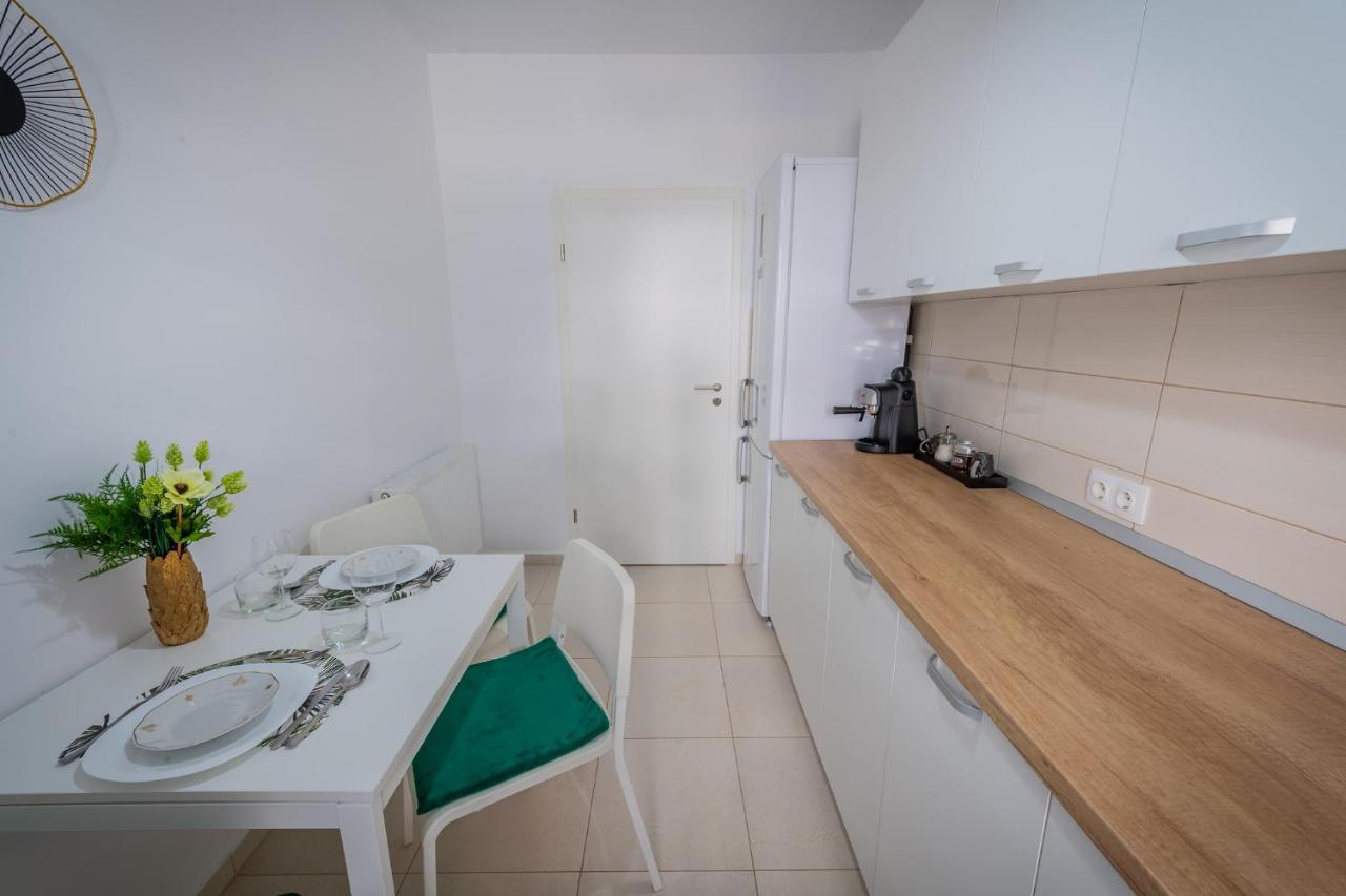 Coresi Vibe Studio Braszów Zewnętrze zdjęcie