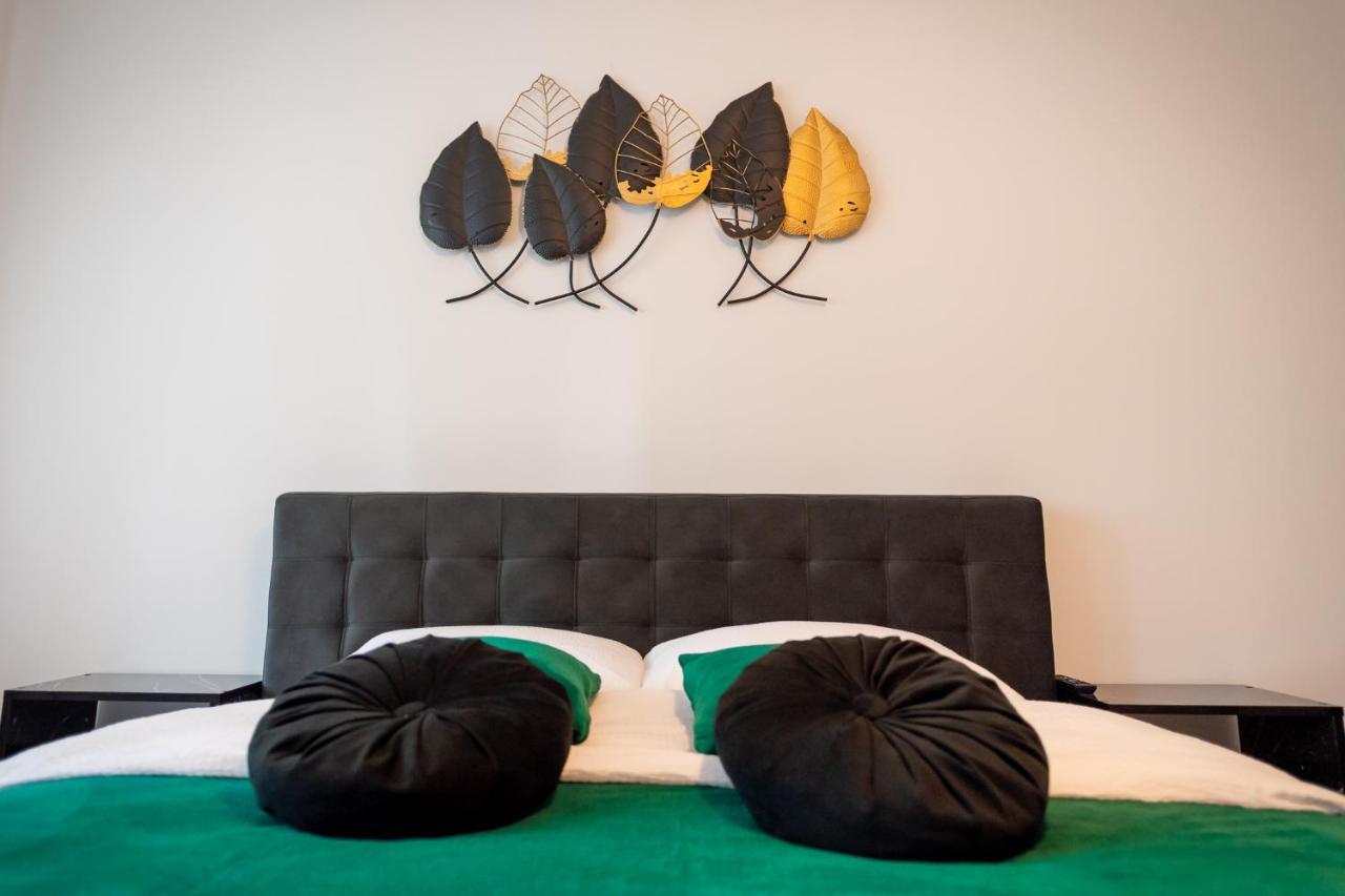 Coresi Vibe Studio Braszów Zewnętrze zdjęcie